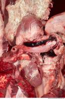 RAW meat pork viscera 0051